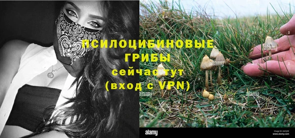 твердый Бронницы