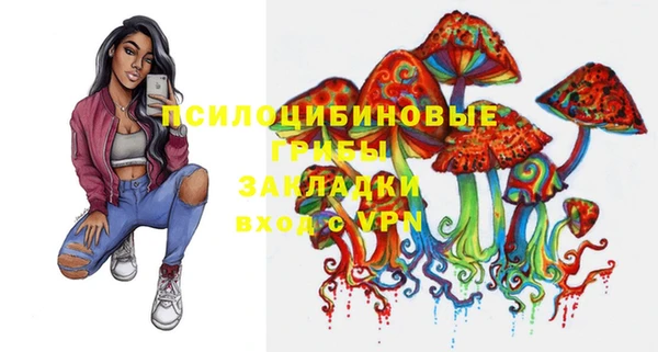 амф Верея