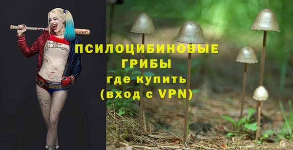 амф Верея