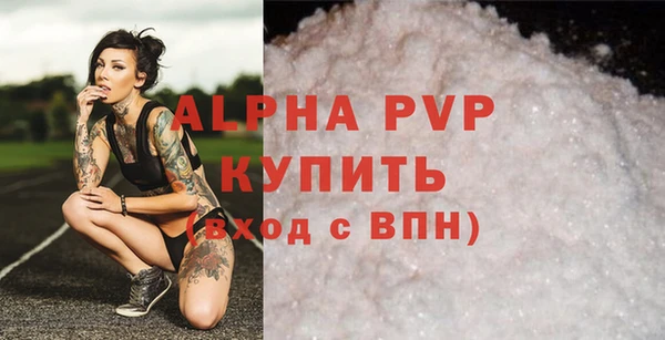 амф Верея